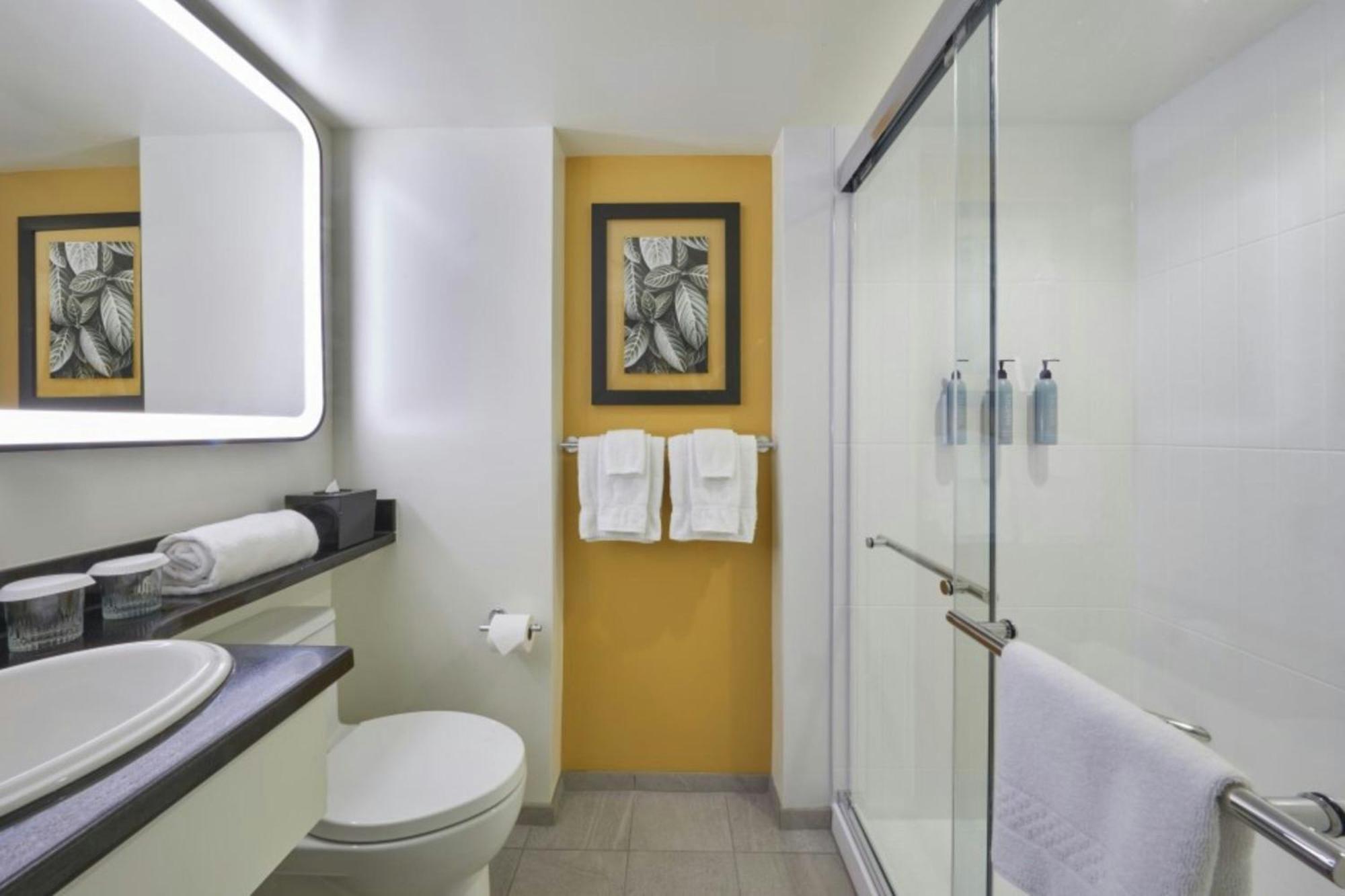 Standard Cozy Queen Studio Balcony Mobility or Hearing Accessible Roll Shower,1717033780:JPEG