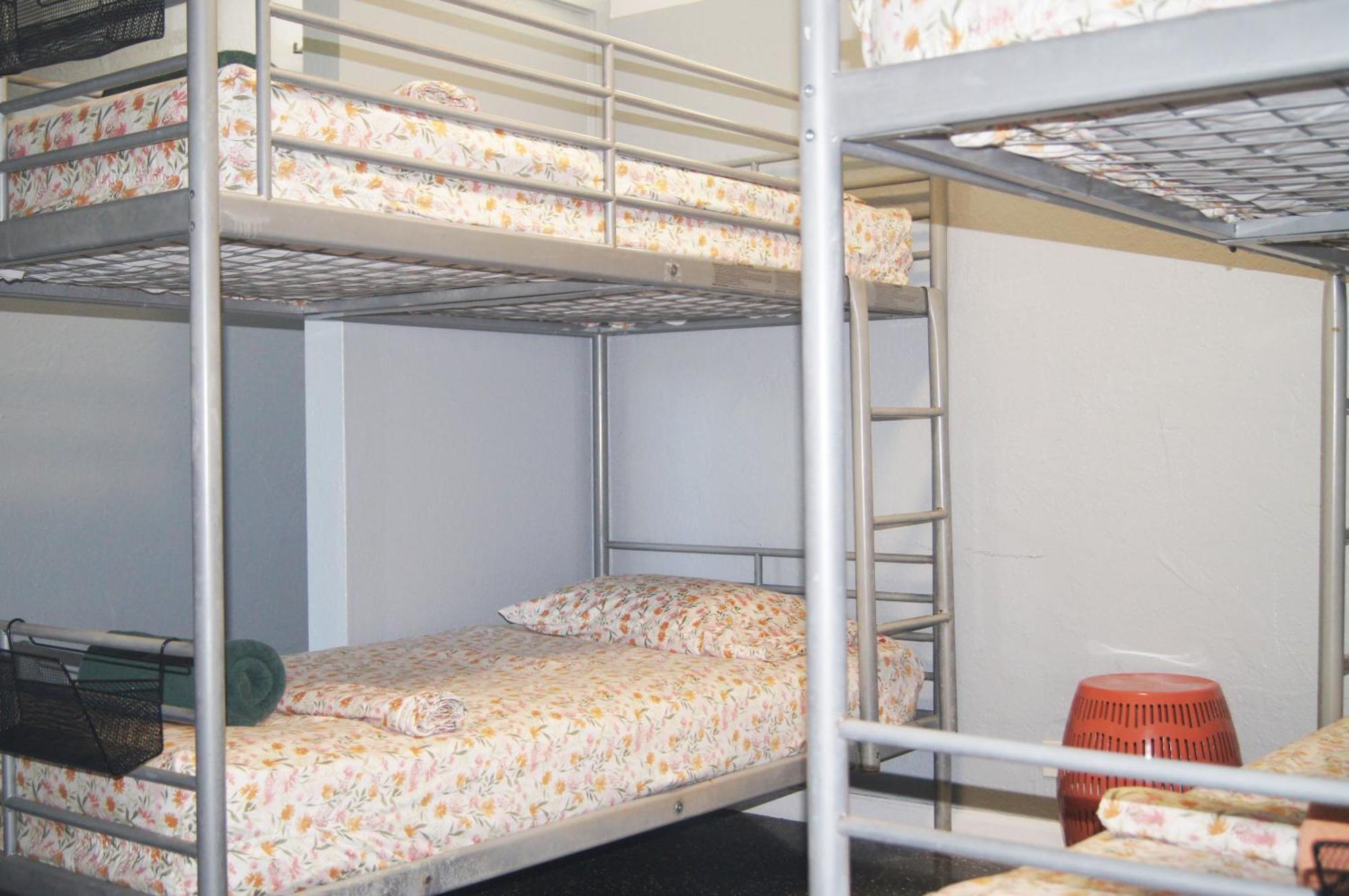 Bed 10-Bed Mixed Dormitory Room